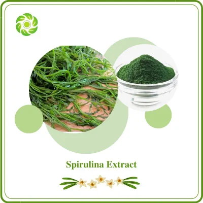 Free Sample Spirulina 10: 1 Polysaccharides (PSP) 10-70% β -Carotene Food Additive Skin Conditioning Agent Vitamin Protein Chlorella Spirulina Extract